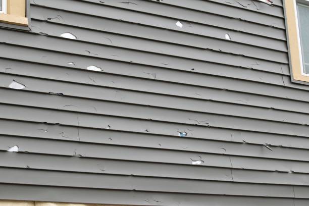 How To Choose The Right Materials for Your Siding Installation in 'Las Quintas Fronterizas, TX